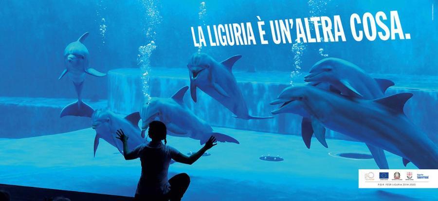 Acquario House